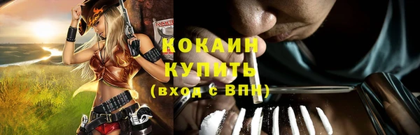 дживик Каменск-Шахтинский